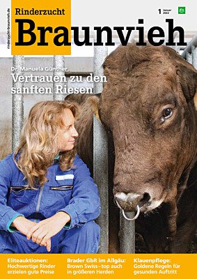 Rinderzucht Braunvieh