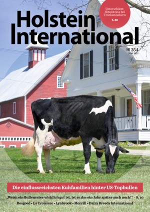 Holstein International Abos