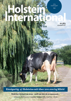 Holstein International Abos