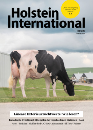 Holstein International Abos