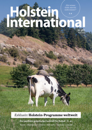 Holstein International Abos