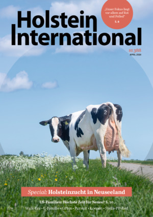 Holstein International Abos