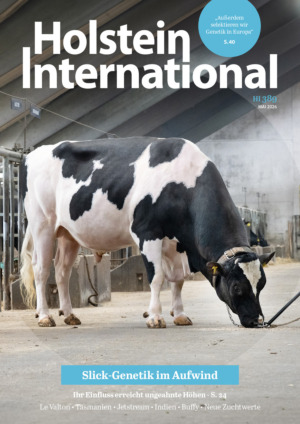 Holstein International Abos
