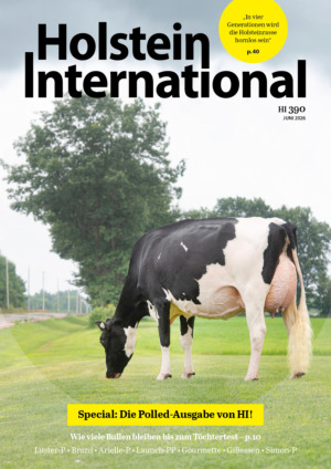 Holstein International Abos