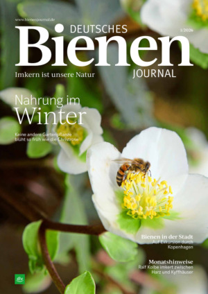 Deutsches Bienen-Journal Abos