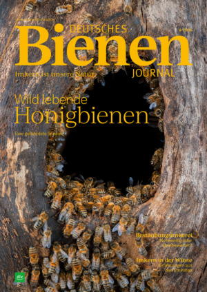 Deutsches Bienen-Journal Abos