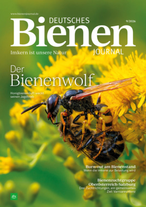 Deutsches Bienen-Journal Abos