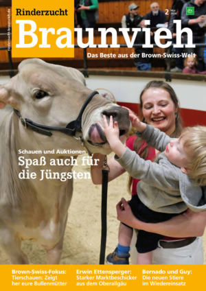 Rinderzucht Braunvieh Abos