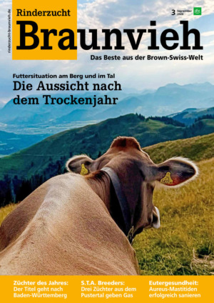 Rinderzucht Braunvieh Abos
