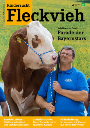 Rinderzucht Fleckvieh Abos