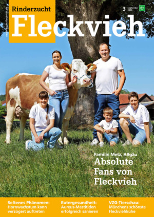 Rinderzucht Fleckvieh Abos
