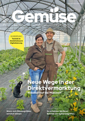 Gemüse Abos