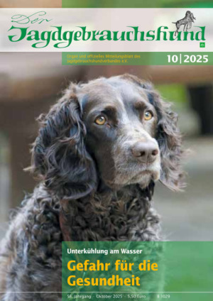 Der Jagdgebrauchshund Abos