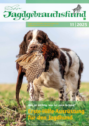 Der Jagdgebrauchshund Abos