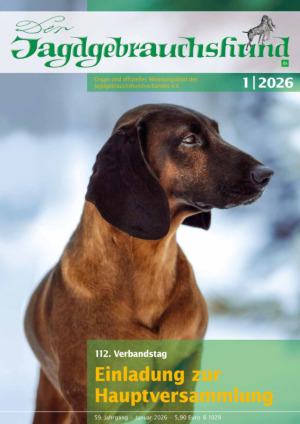 Der Jagdgebrauchshund Abos