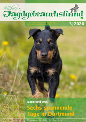 Der Jagdgebrauchshund Abos