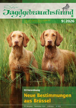 Der Jagdgebrauchshund Abos