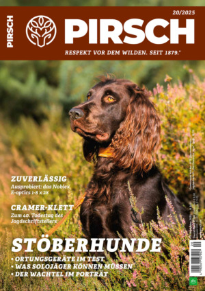 PIRSCH Abos