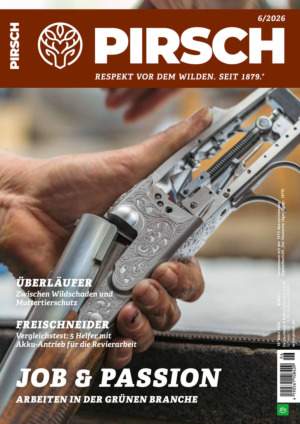 PIRSCH Abos