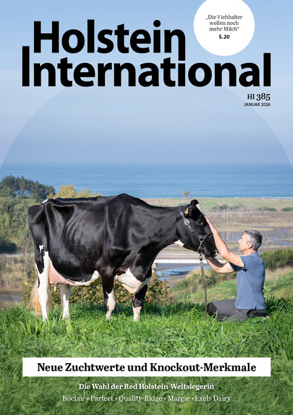 Holstein International