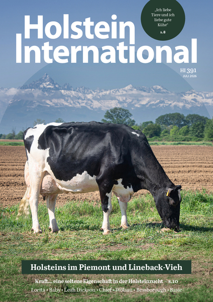 Holstein International