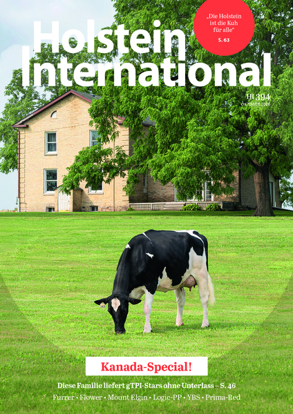 Holstein International