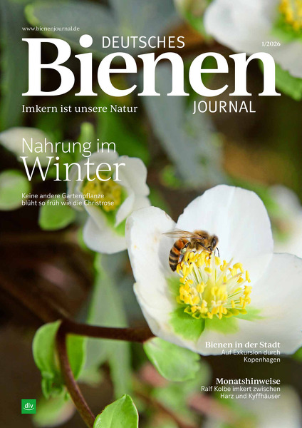 Deutsches Bienen-Journal