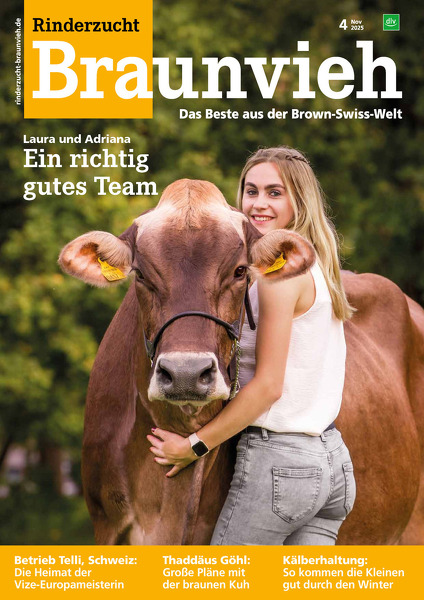 Rinderzucht Braunvieh