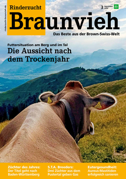 Rinderzucht Braunvieh