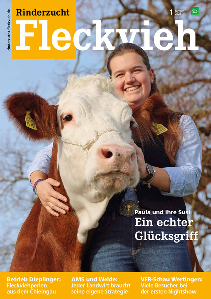 Rinderzucht Fleckvieh