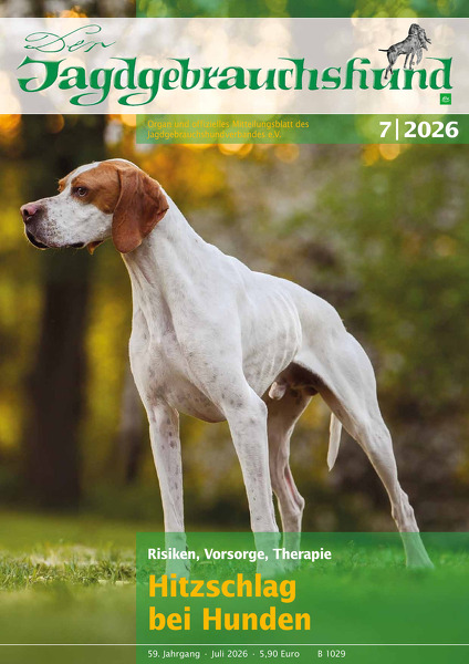 Der Jagdgebrauchshund