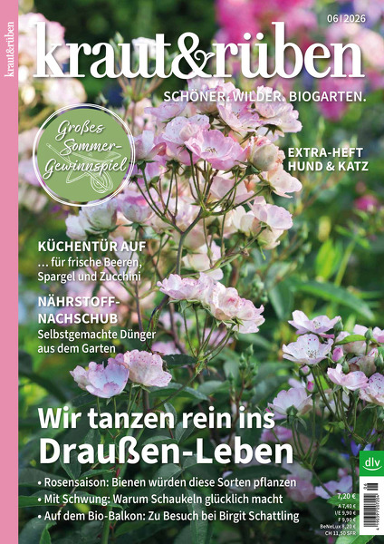 kraut&rüben