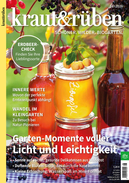 kraut&rüben
