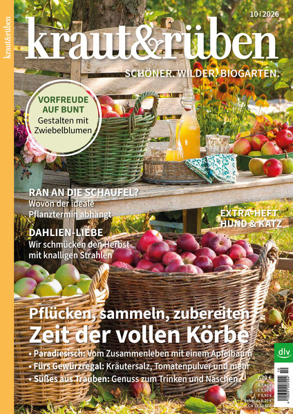 kraut&rüben