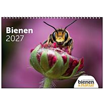 bienen&natur Wandkalender Bienen 2027
