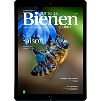 E-Paper Upgrade für Leser der gedruckten Ausgabe