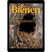 E-Paper Upgrade für Leser der gedruckten Ausgabe