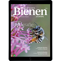 E-Paper Upgrade für Leser der gedruckten Ausgabe