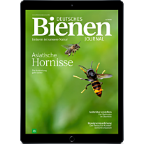 E-Paper Upgrade für Leser der gedruckten Ausgabe