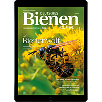 E-Paper Upgrade für Leser der gedruckten Ausgabe