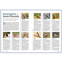 kraut&rüben Spezial 2/26 - Ein Garten für Vögel