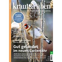 Weihnachtsgeschenk-Abo