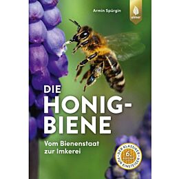 Die Honigbiene
