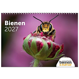 bienen&natur Wandkalender Bienen 2027