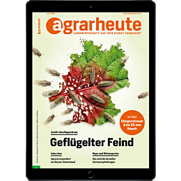 NEU: E-Paper Monatsabo