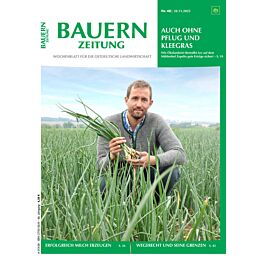 Geschenk-Abo Weihnachtspaket 1/2 Jahr