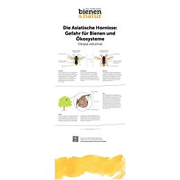 "Die Asiatische Hornisse (Vespa velutina)“ Roll-up 85x200 cm