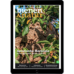 E-Paper Upgrade für Leser der gedruckten Ausgabe