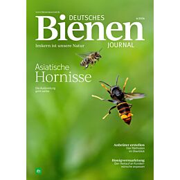 Persönliches Abo