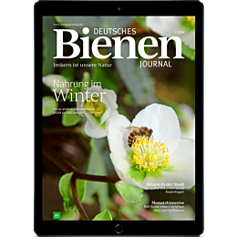 E-Paper Upgrade f&uuml;r Leser der gedruckten Ausgabe